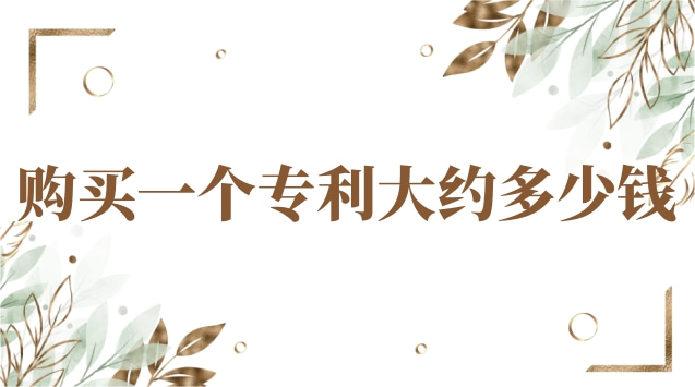 購買一個(gè)專利大約多少錢