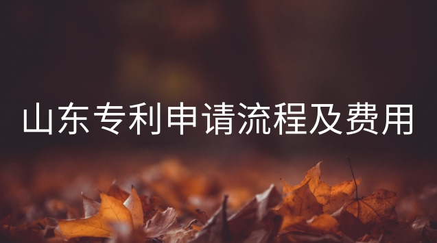 晉城專利申請流程詳細(xì)步驟及費用(山東專利申請)